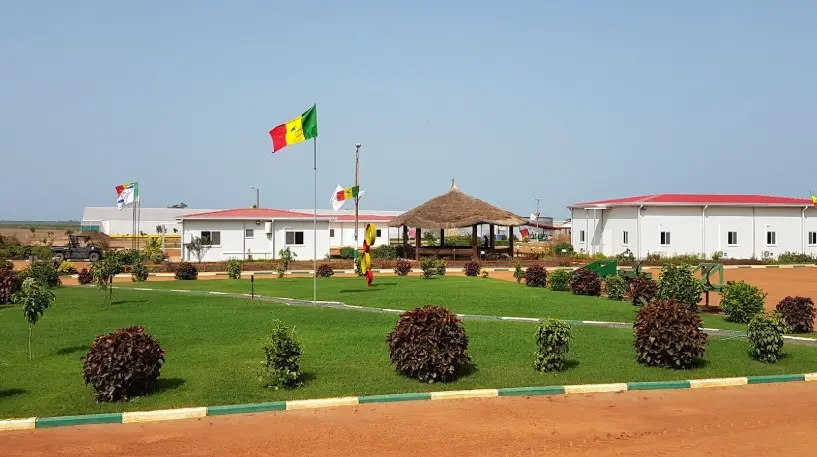 PRODAC DACs & Green 2000: Succès reproductible en Afrique 1 Green 2000 prodac 2025